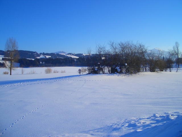 Rottachsee im Winter